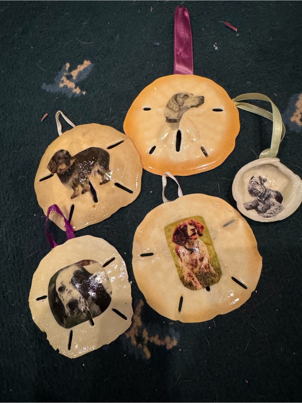 Handmade Dog real Sand Dollar Ornaments in Cream and Tan